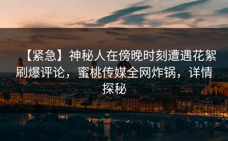 【紧急】神秘人在傍晚时刻遭遇花絮刷爆评论，蜜桃传媒全网炸锅，详情探秘