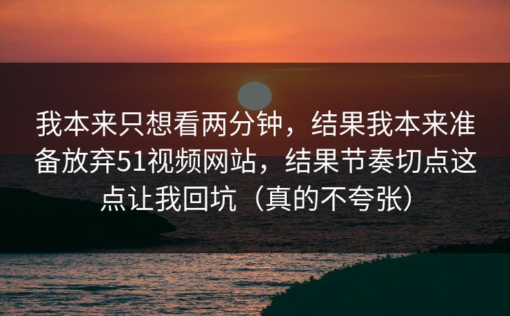 我本来只想看两分钟，结果我本来准备放弃51视频网站，结果节奏切点这点让我回坑（真的不夸张）